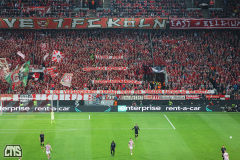 1. FC KÖLN - PARTIZAN BELGRAD
