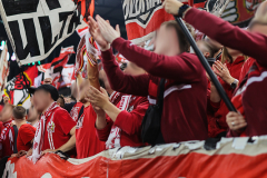 1. FC KÖLN - PARTIZAN BELGRAD