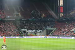 1. FC KÖLN - PARTIZAN BELGRAD
