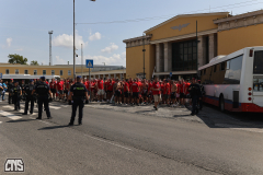 FEHERVAR FC - 1. FC KÖLN