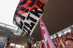 FEHERVAR FC - 1. FC KÖLN