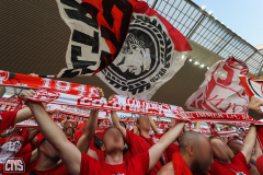 FEHERVAR FC - 1. FC KÖLN