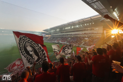 FEHERVAR FC - 1. FC KÖLN