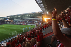 FEHERVAR FC - 1. FC KÖLN