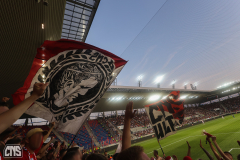 FEHERVAR FC - 1. FC KÖLN
