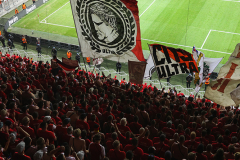 OGC NICE - 1. FC KÖLN