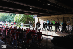 VFL OSNABRÜCK - 1. FC KÖLN