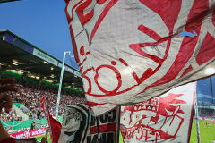 VFL OSNABRÜCK - 1. FC KÖLN