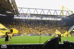 BORUSSIA DORTMUND - 1. FC KÖLN
