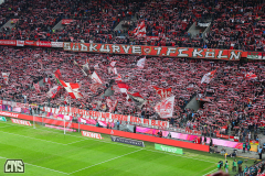 fc_augsburg_2324_001d