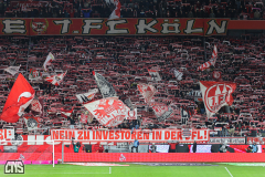 fc_mainz_2324_001k