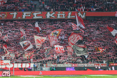 fc_heidenheim_2324_001l