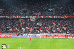 fc_heidenheim_2324_001p