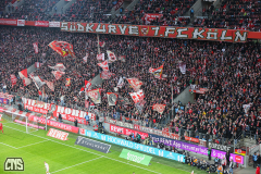 fc_heidenheim_2324_001q