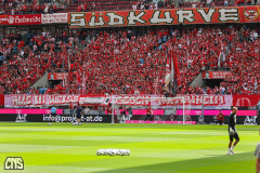 1. FC KÖLN - VFL WOLFSBURG