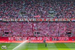 1. FC KÖLN - VFL WOLFSBURG