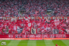 1. FC KÖLN - VFL WOLFSBURG