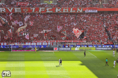 1. FC KÖLN - VFL WOLFSBURG