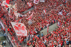 1. FC KÖLN - VFL WOLFSBURG