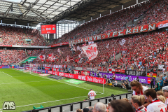 1. FC KÖLN - VFL WOLFSBURG