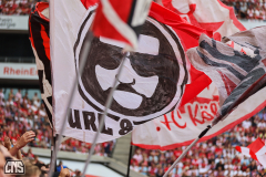 1. FC KÖLN - VFL WOLFSBURG