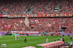 1. FC KÖLN - VFL WOLFSBURG