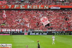 1. FC KÖLN - VFL WOLFSBURG