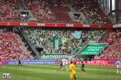 1. FC KÖLN - VFL WOLFSBURG
