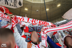 hoffenheim_fc_2324_001e