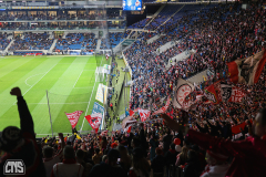 hoffenheim_fc_2324_001r
