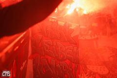 hoffenheim_fc_2324_002c