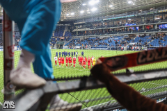 hoffenheim_fc_2324_002e