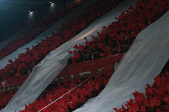 fc_bremen_2324_001q