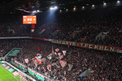 fc_bremen_2324_001s