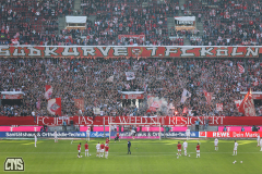 fc_leverkusen_2324_001d
