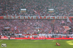 fc_leverkusen_2324_001f