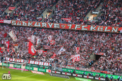 fc_leverkusen_2324_001j