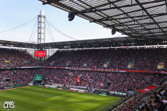 fc_leverkusen_2324_001m