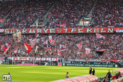 fc_leverkusen_2324_001n