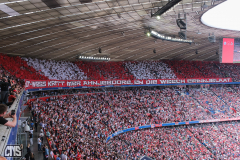 muenchen_fc_2324_001g