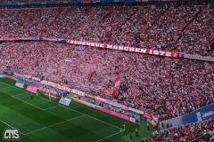 muenchen_fc_2324_001q