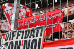 fc_darmstadt_2324_001i
