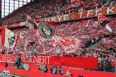 fc_freiburg_2324_001d