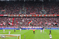 fc_freiburg_2324_001i