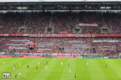 fc_freiburg_2324_001j
