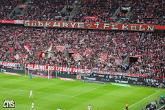 fc_freiburg_2324_001m