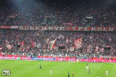 fc_freiburg_2324_001r