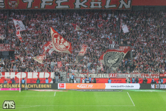 fc_freiburg_2324_001s