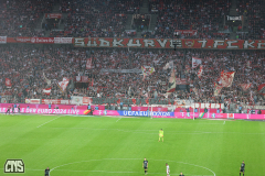 fc_freiburg_2324_001t