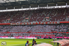 1. FC KÖLN - TSG HOFFENHEIM